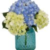 Occasions Royer's | Happy Hydrangea, Small - Blue