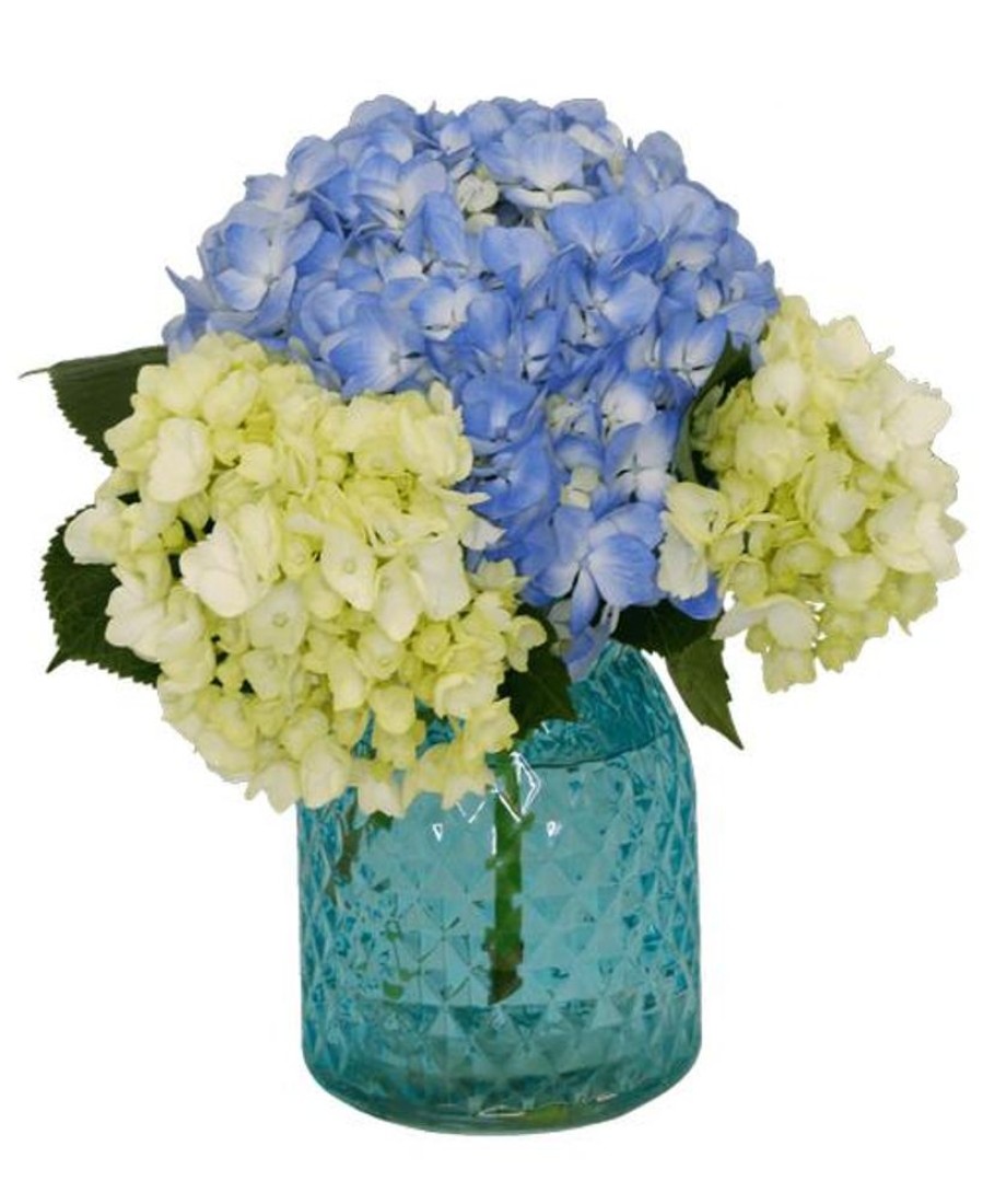 Occasions Royer's | Happy Hydrangea, Small - Blue