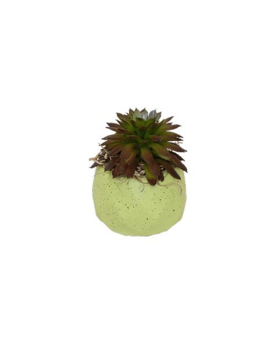 Silks Royer's | Silk Mini Succulent Pot