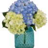 Occasions Royer's | Happy Hydrangea, Small - Blue