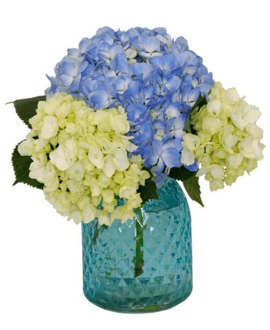 Occasions Royer's | Happy Hydrangea, Small - Blue