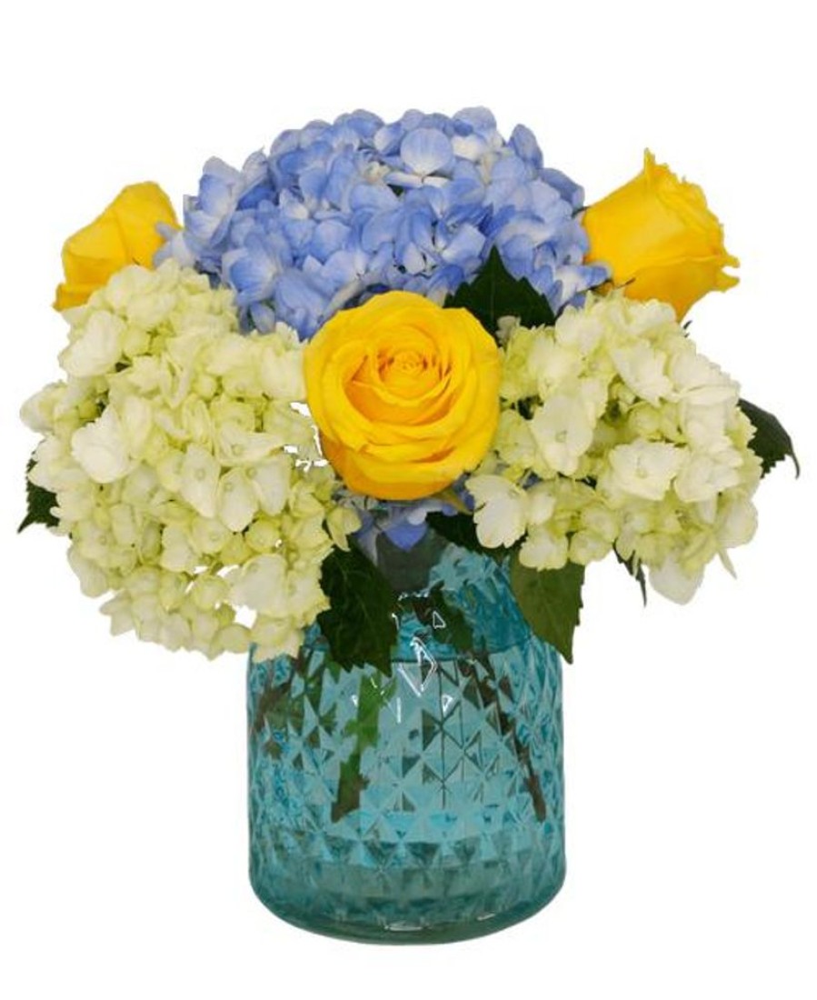 Occasions Royer's | Happy Hydrangea With Roses, Small - Blue