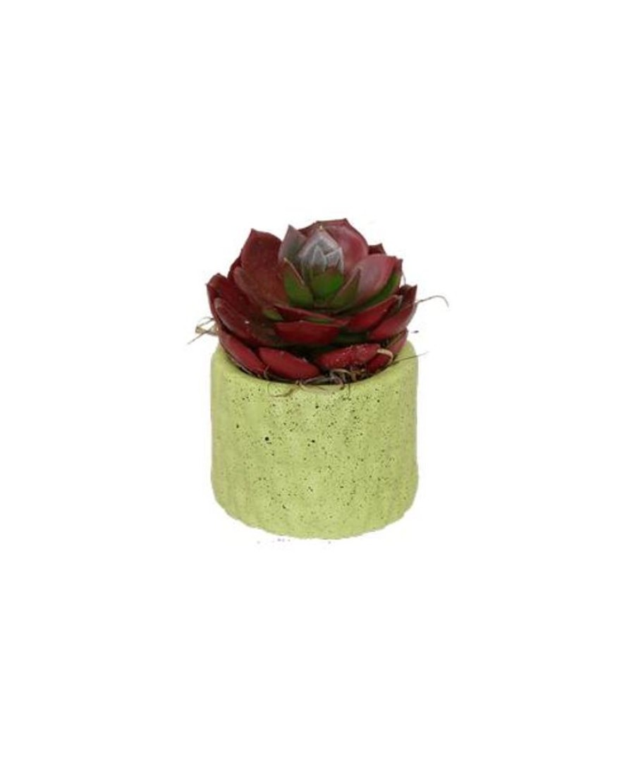 Silks Royer's | Silk Mini Succulent Pot