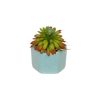 Silks Royer's | Silk Mini Succulent Pot