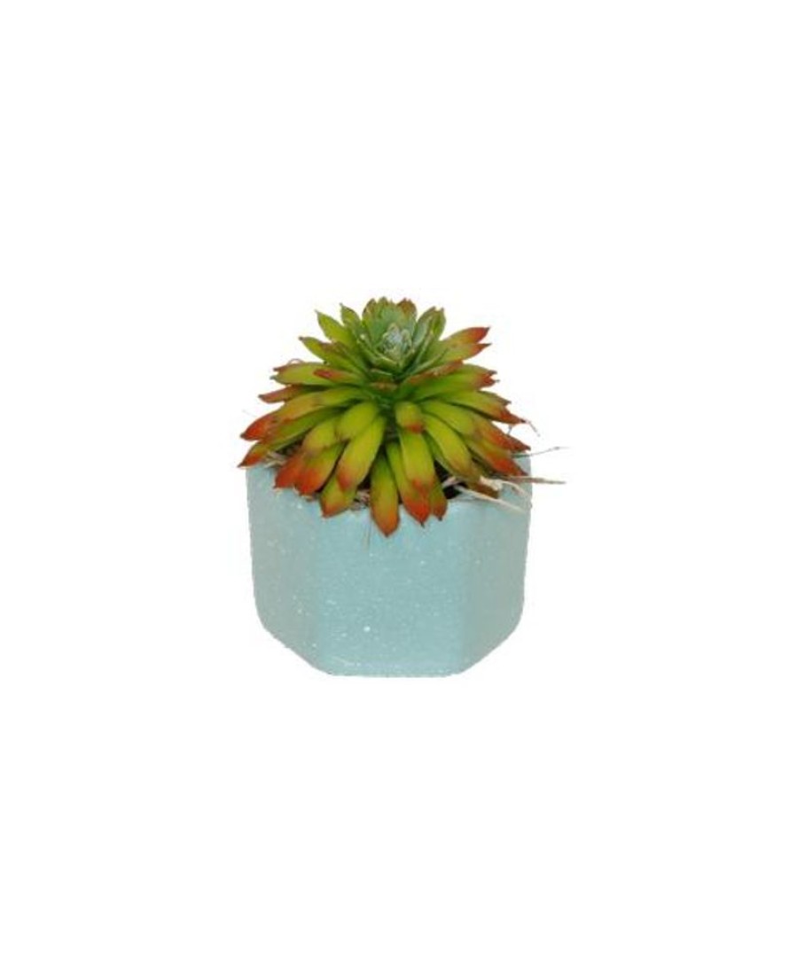 Silks Royer's | Silk Mini Succulent Pot