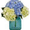 Occasions Royer's | Happy Hydrangea, Small - Blue