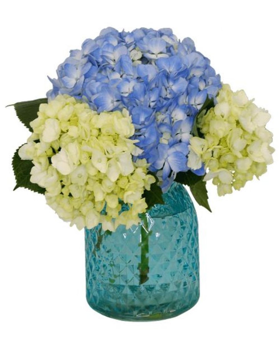 Occasions Royer's | Happy Hydrangea, Small - Blue