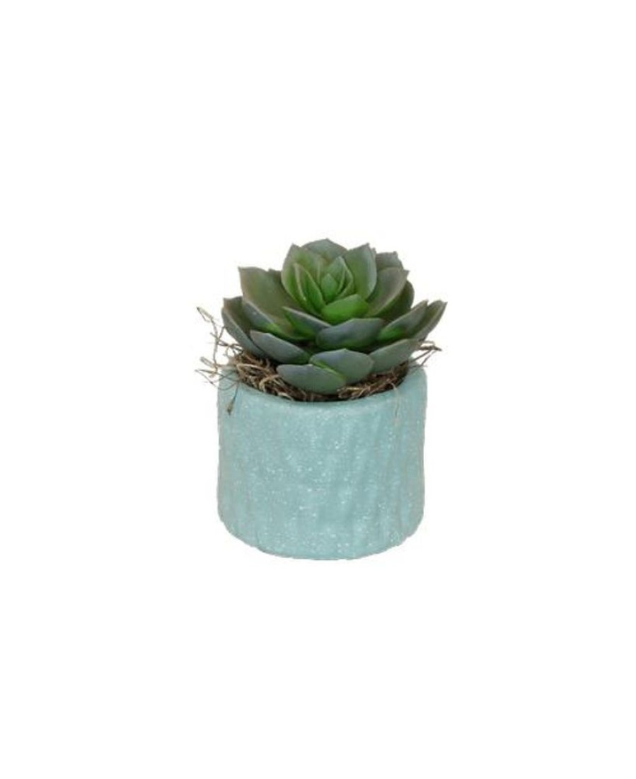 Silks Royer's | Silk Mini Succulent Pot