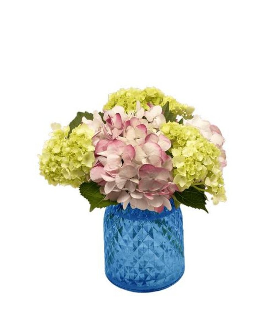 Occasions Royer's | Happy Hydrangea, Small - Pink